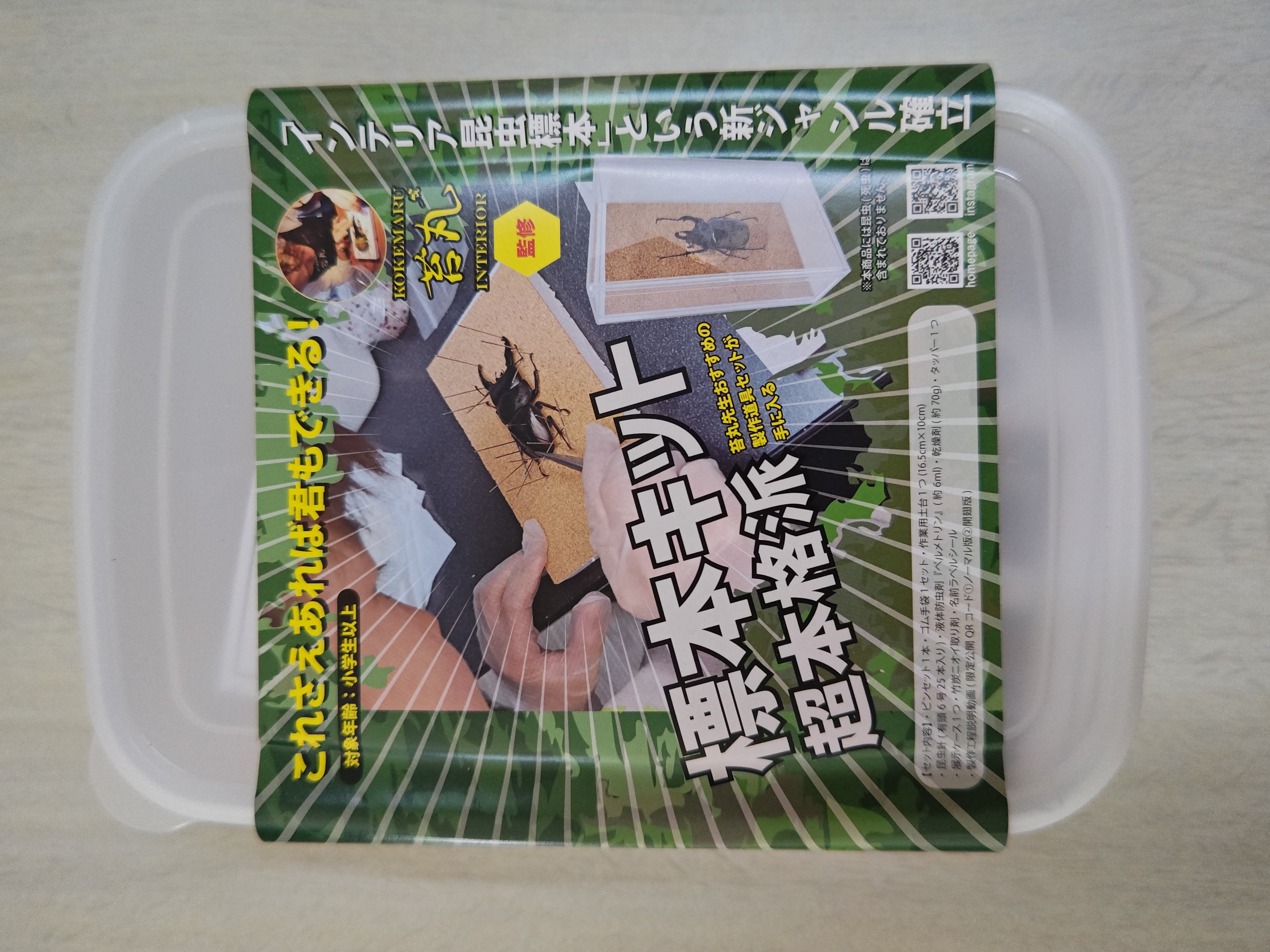 標本キット!! – クワガタムシ・カブトムシ昆虫専門店COLORS