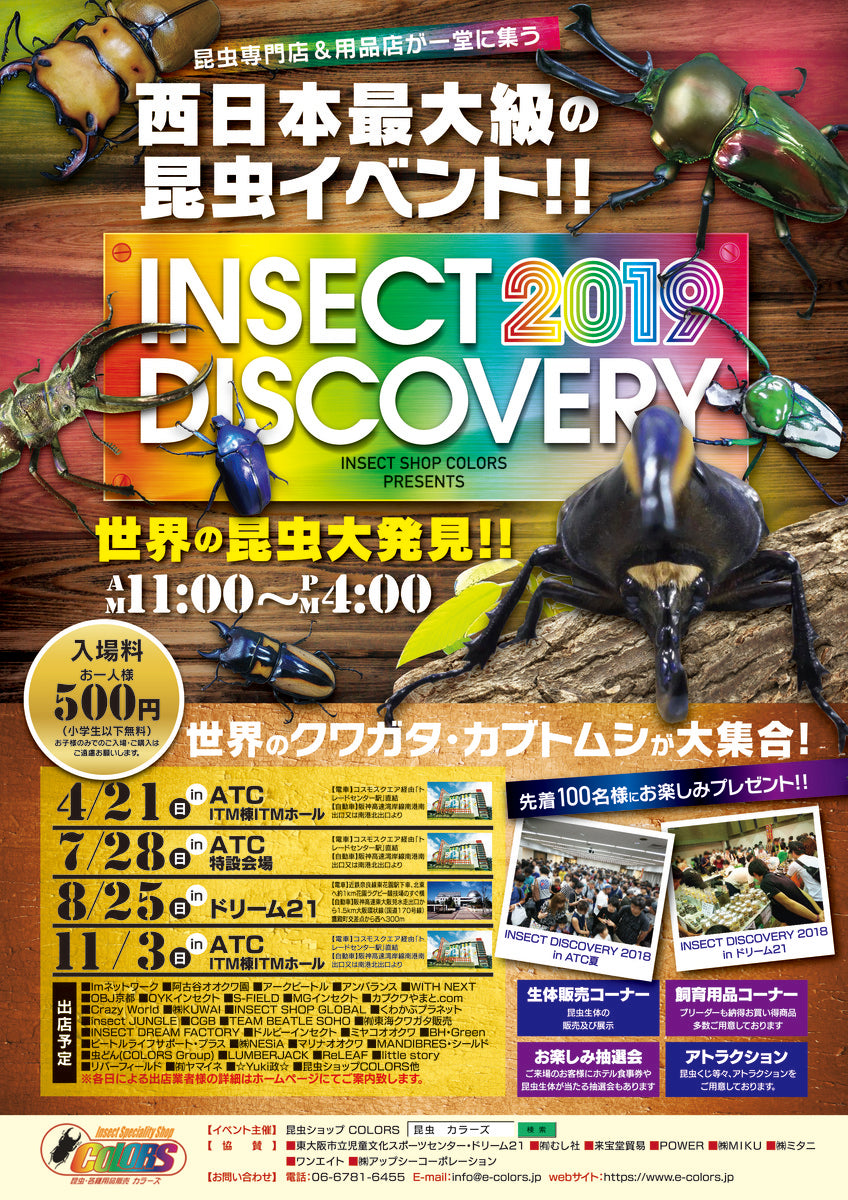INSECT DISCOVERY 2019 in ATC秋!! – クワガタムシ・カブトムシ昆虫