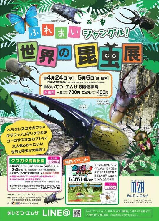 めいてつ・エムザ世界の昆虫展!! – クワガタムシ・カブトムシ昆虫専門