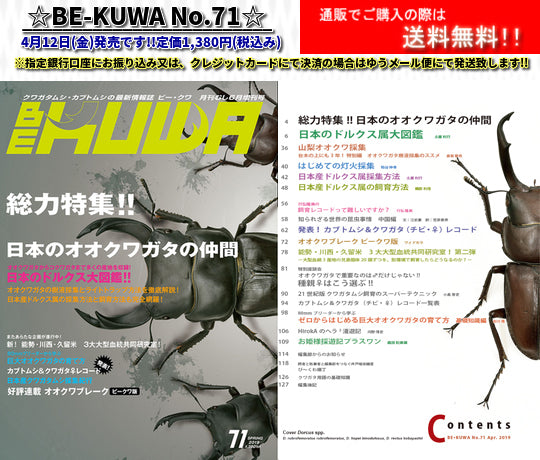 BE-KUWA No.71新発売!! – クワガタムシ・カブトムシ昆虫専門店COLORS