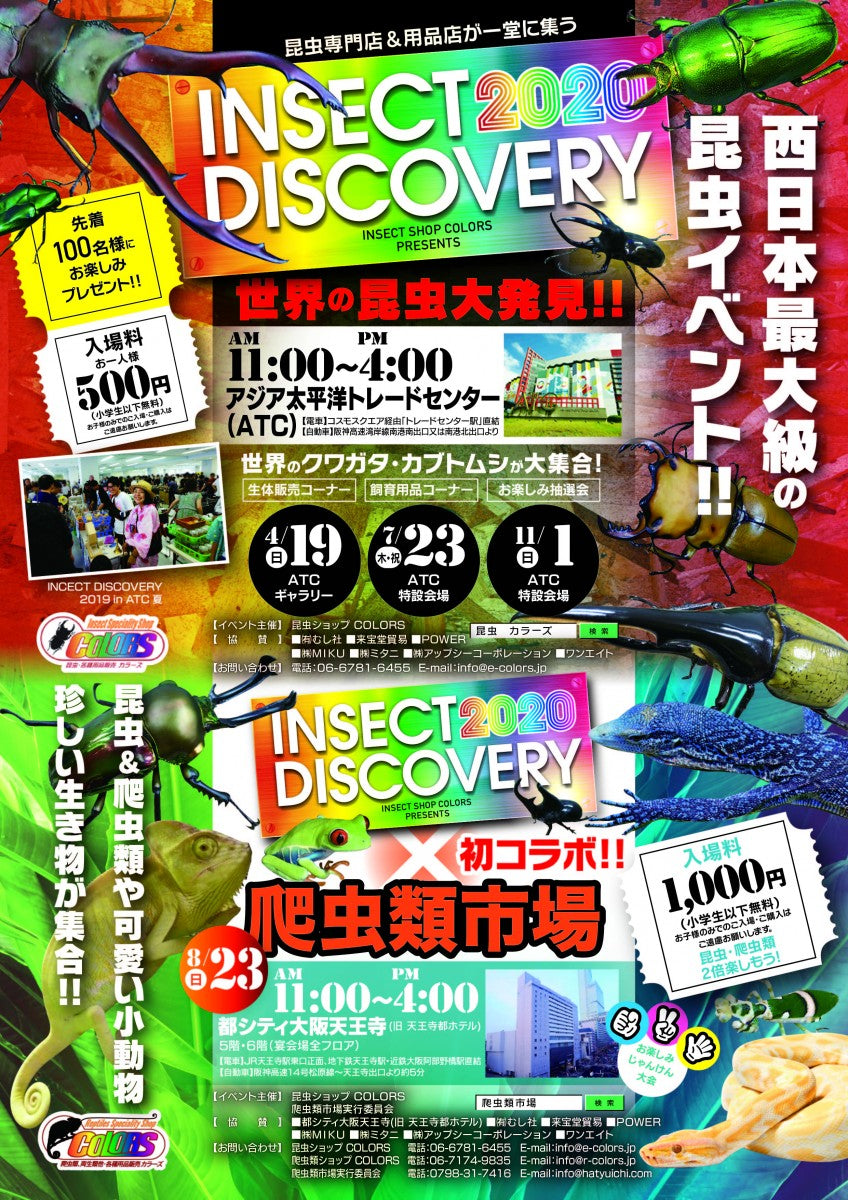 INSECT DISCOVERY 中止決定!! – クワガタムシ・カブトムシ昆虫専門店COLORS