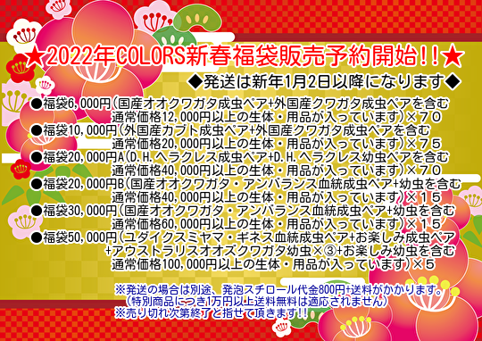 ☆2021年COLORS新春福袋販売予約開始!!☆ – クワガタムシ