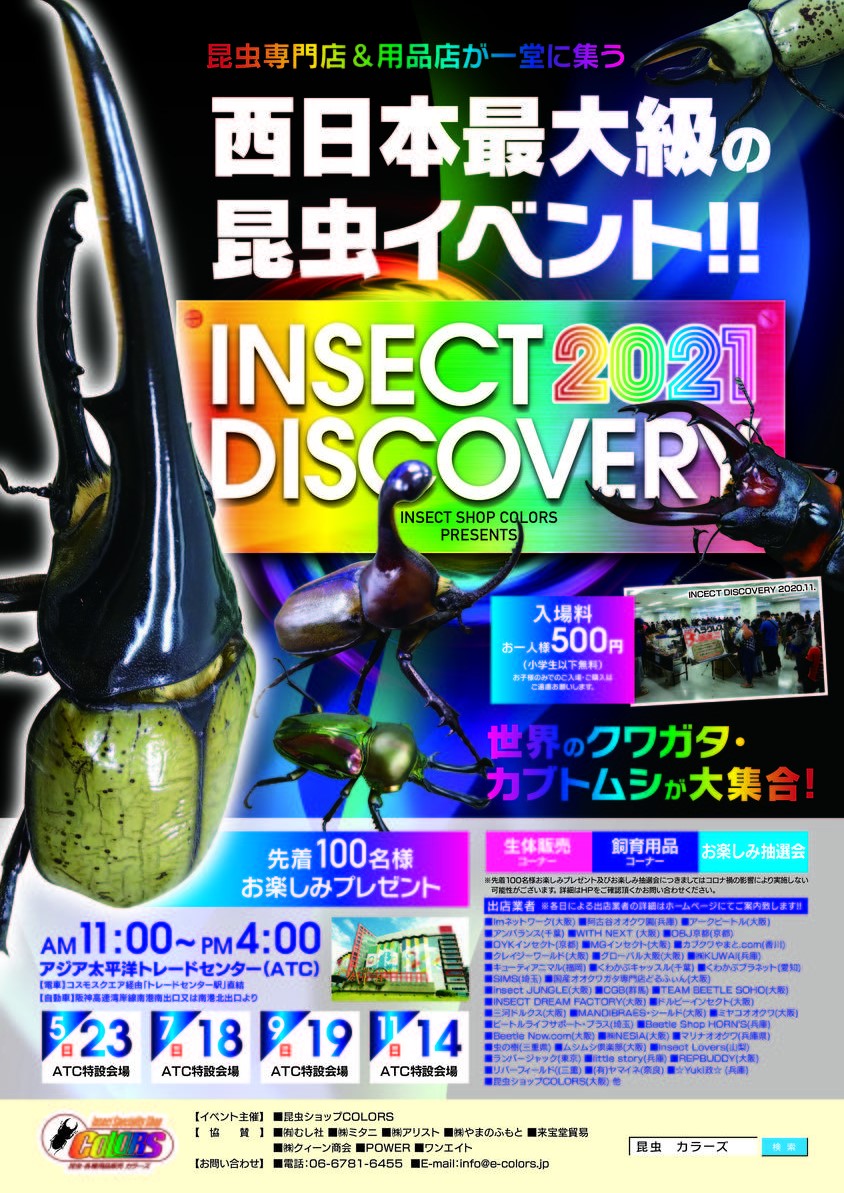 INSECT DISCOVERY 2021 in ATC夏 開催決定!! – クワガタムシ