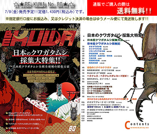 BE-KUWA 80〜95 16冊セット BE-KUWA 80〜95 16冊セット BE-KUWA No.80 発売予定!! – クワガタムシ・