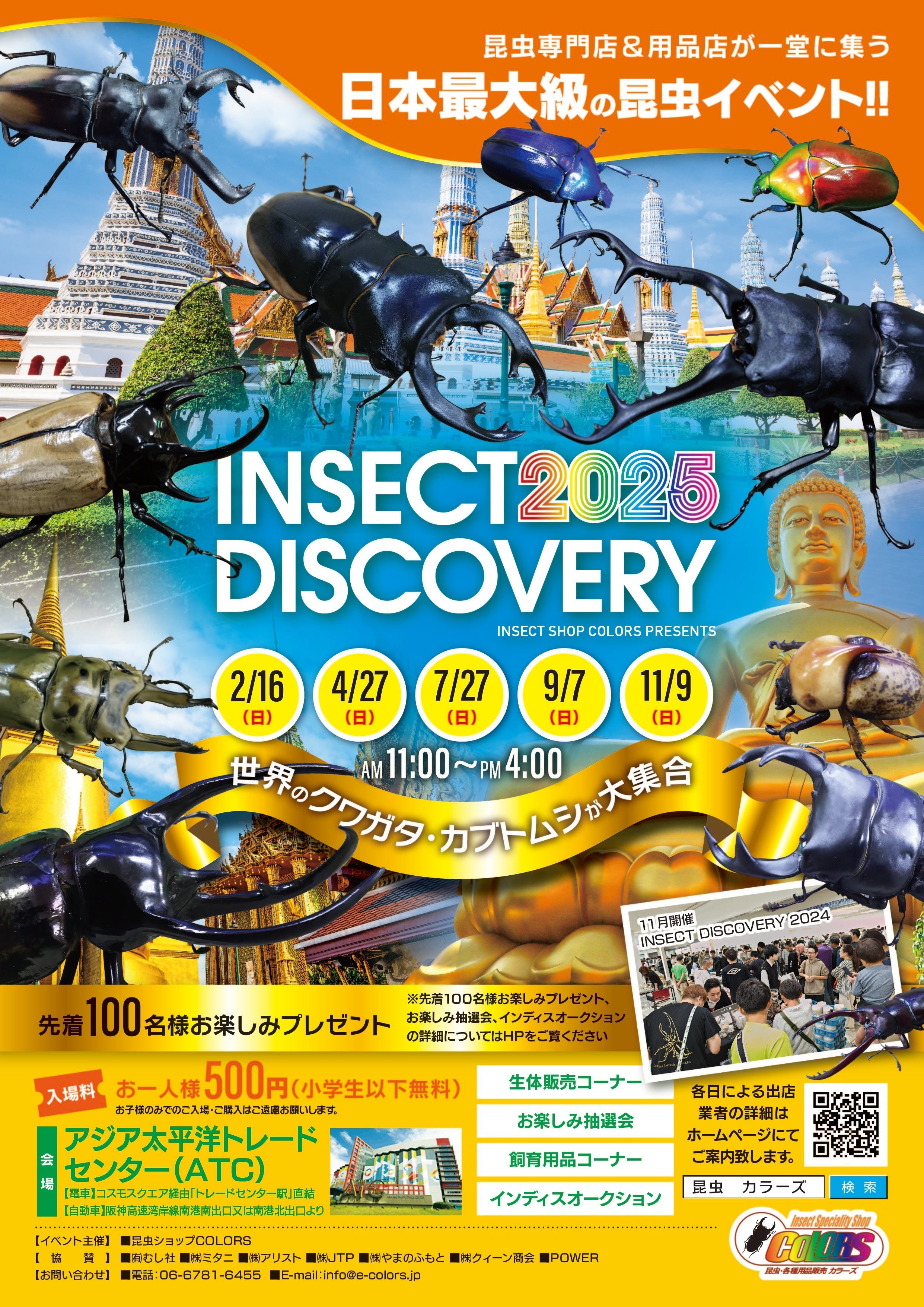 INSECT DISCOVERY 2025-2月出店業者決定!! – クワガタムシ・カブトムシ