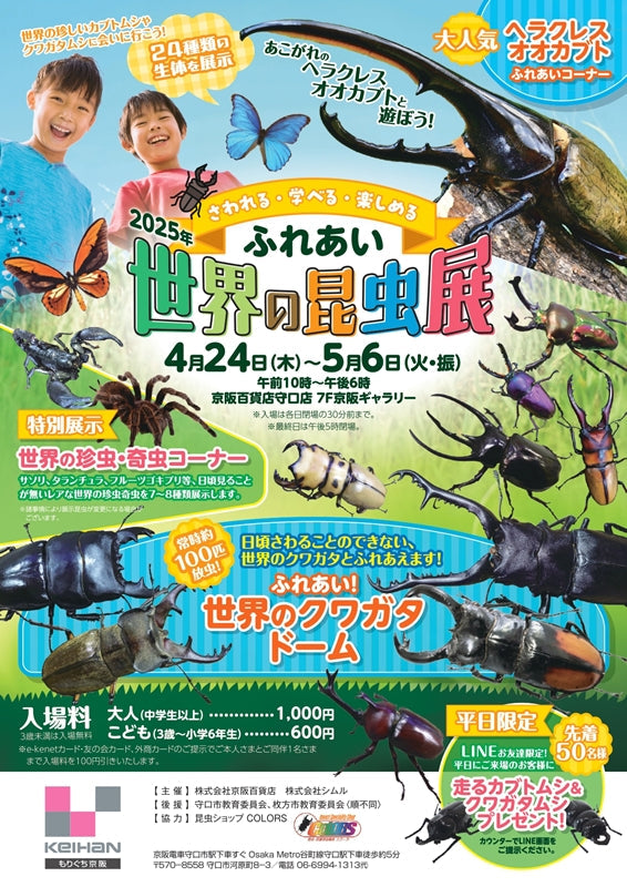 さわれる・学べる・楽しめる 世界の昆虫展が開催!! – クワガタムシ