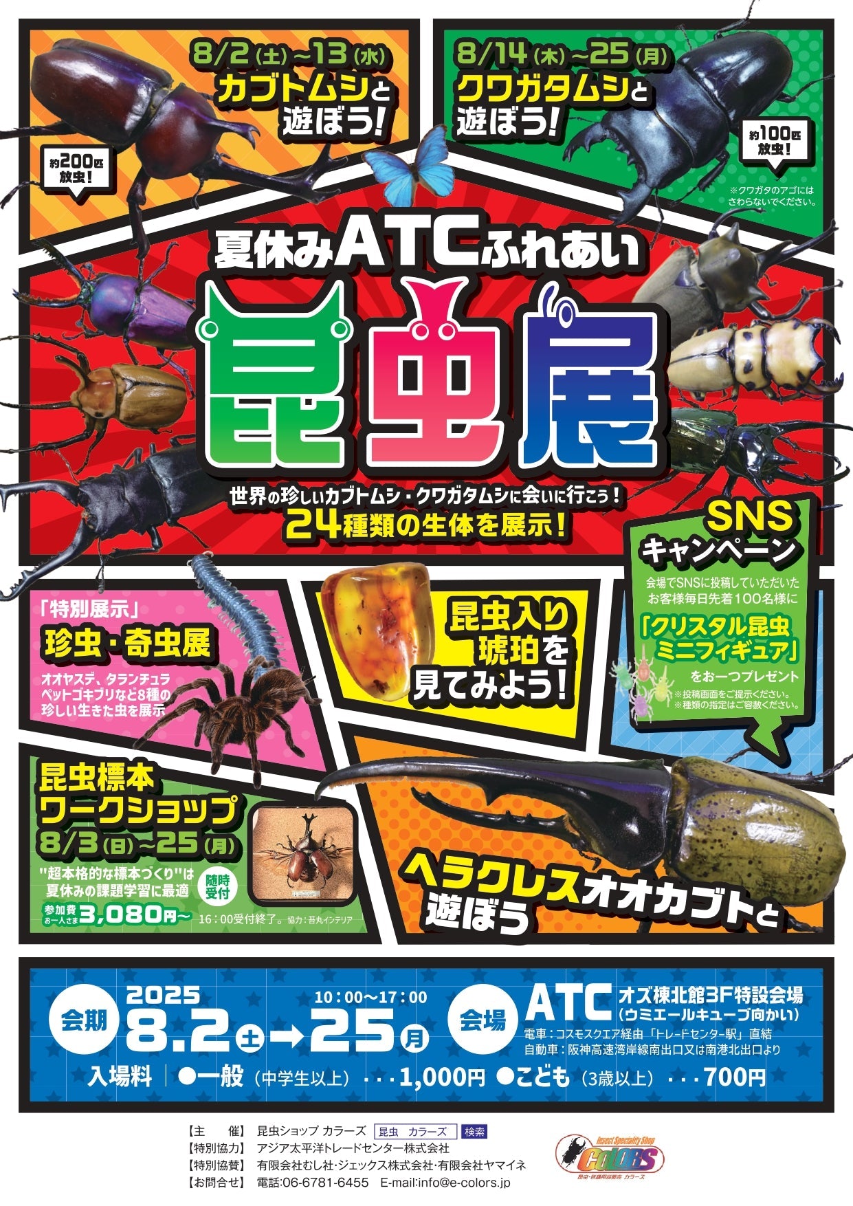 夏休みATCふれあい昆虫展が開催!! – クワガタムシ・カブトムシ昆虫専門