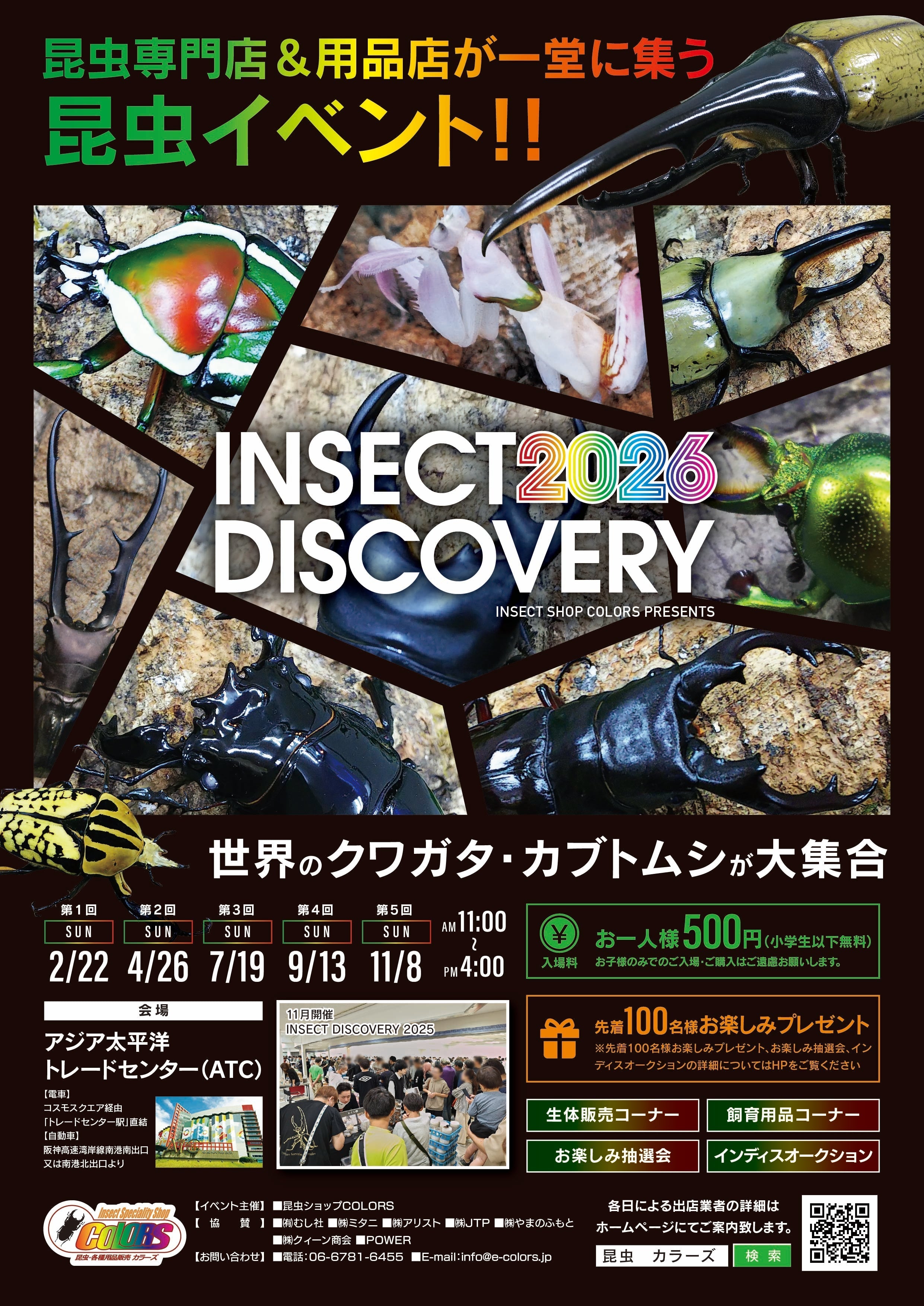 INSECT DISCOVERY 2026日程決定!! – クワガタムシ・カブトムシ昆虫専門