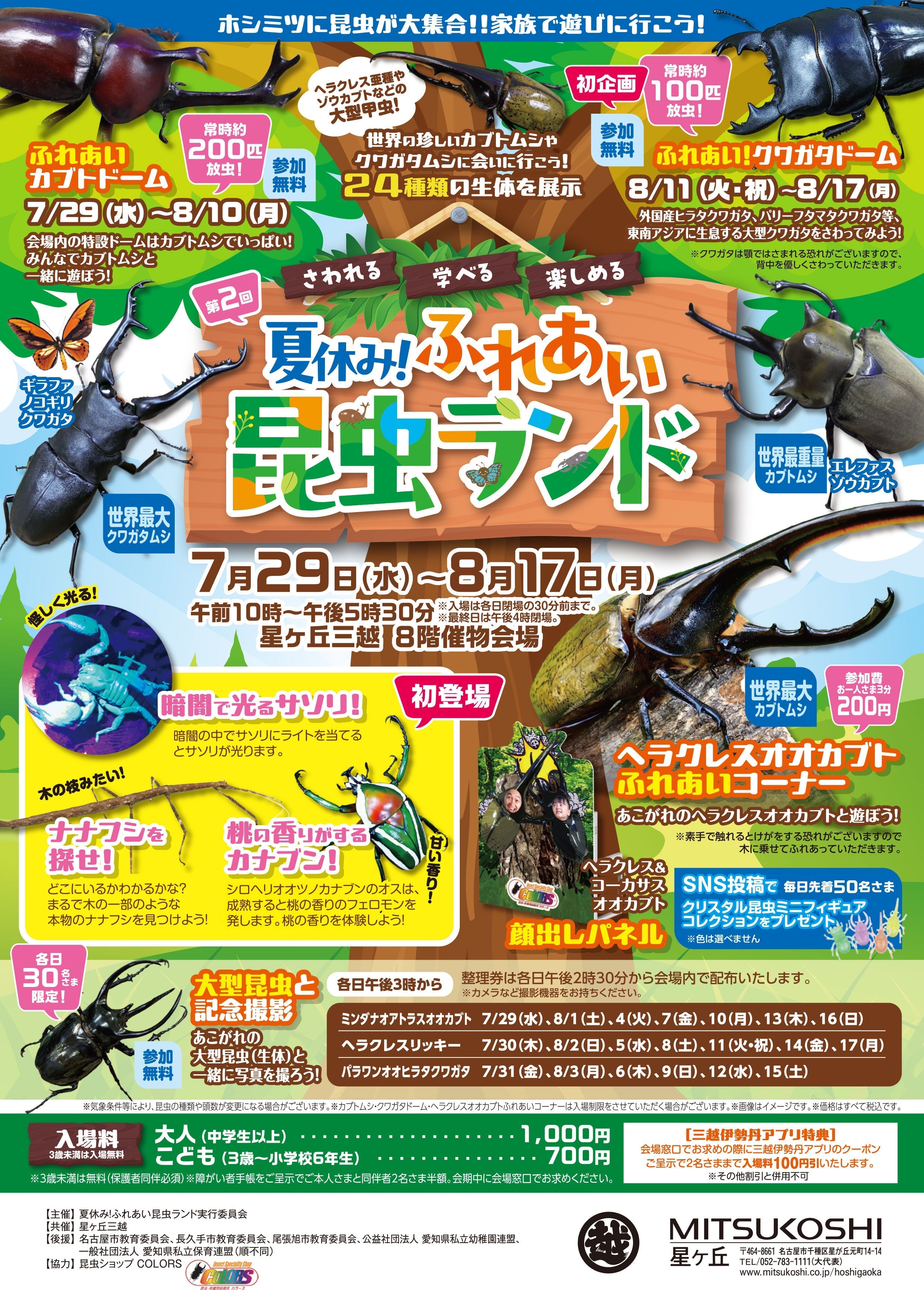 夏休み!ふれあい昆虫ランド開催!! – クワガタムシ・カブトムシ昆虫専門