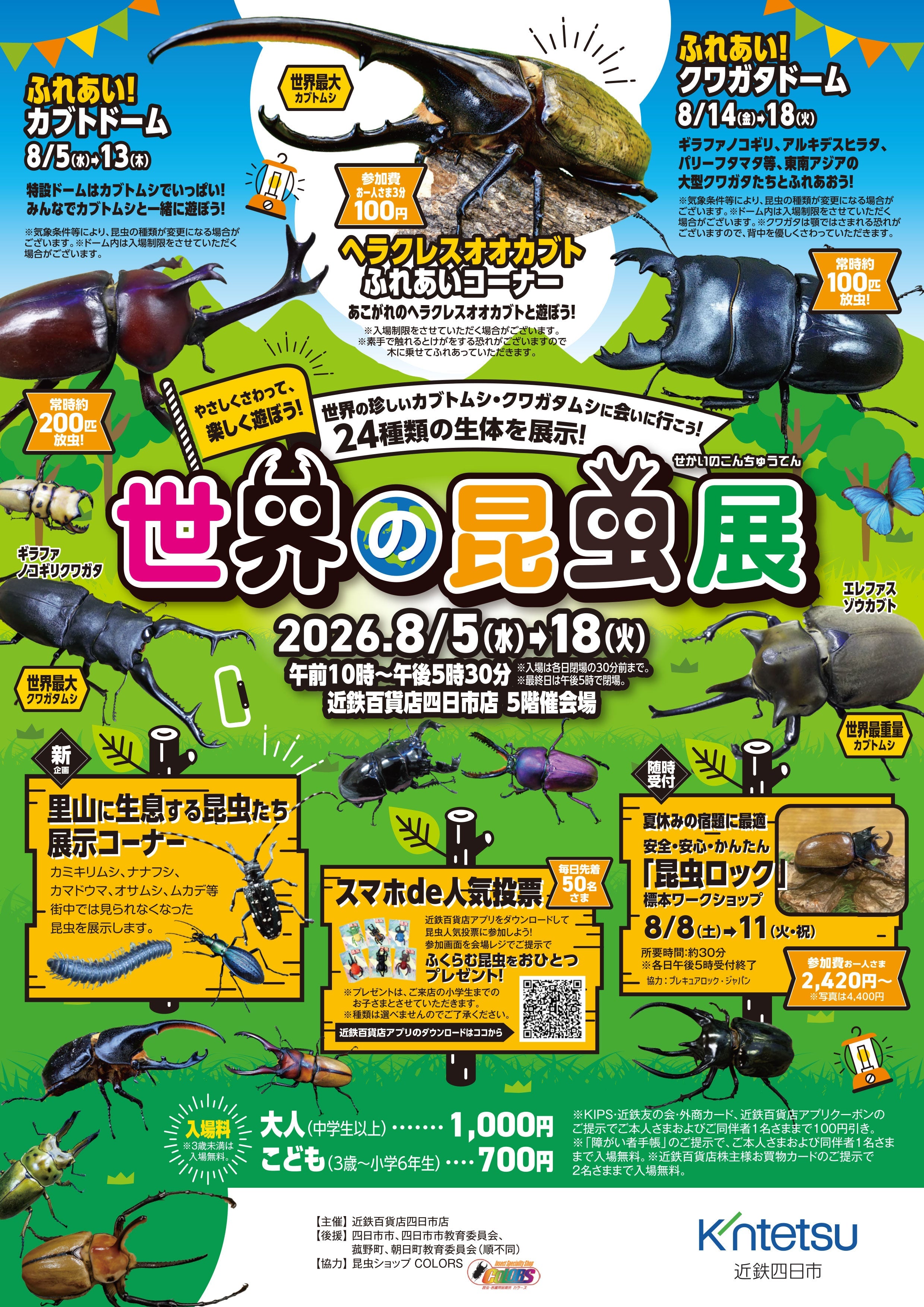 近鉄百貨店四日市店 世界の昆虫展開催!! – クワガタムシ・カブトムシ