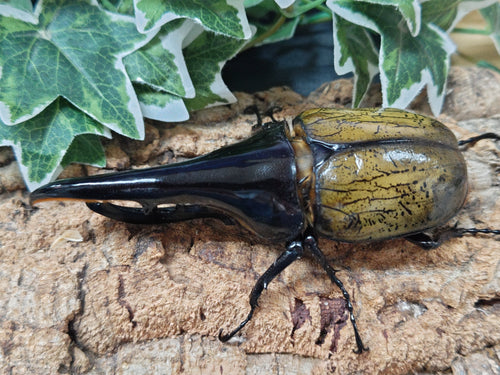 2025.10.17.新入荷!!