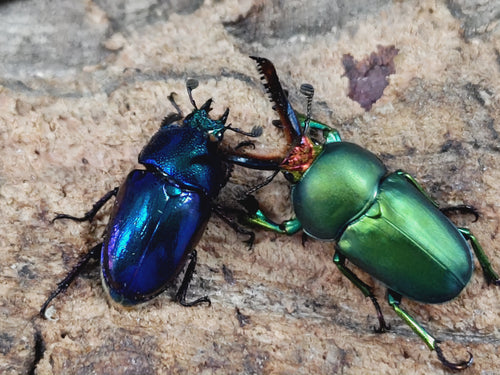 2025.10.18.新入荷!!