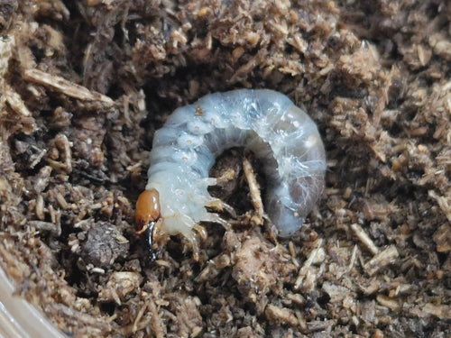 2025.10.19.新入荷!!