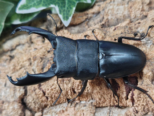 2025.10.20.新入荷!!