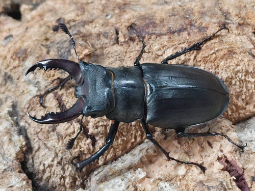 2025.10.21.新入荷!!