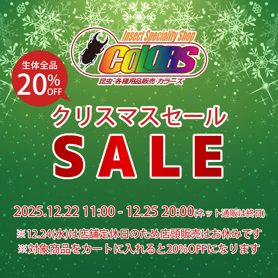 【79%off】定価119,900円 期間限定セール 4月20日締切 WEB限定 最大70%OFF スペシャルセール｜ビオトピアマルシェ セレクトモール