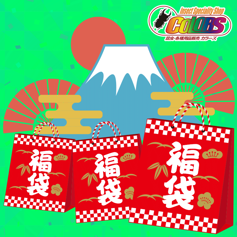 12000円(インドネシアWD福袋)】2026新春福袋 2026/1/2から順次発送 12000円(インドネシアWD福袋)】2026新春福袋 2026/1/2から順次発送