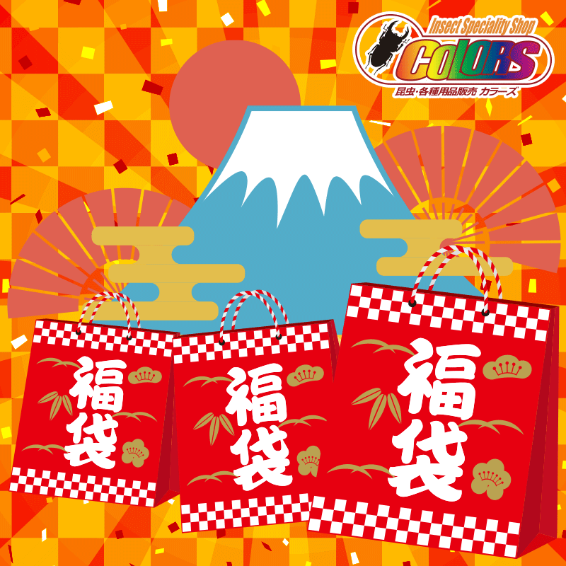 【30000円】2025新春福袋 2025/1/2から順次発送