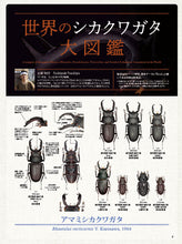 画像をギャラリービューアに読み込む, BE-KUWA No.91