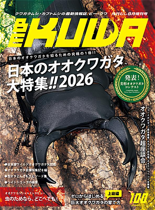 BE-KUWA No.100 – クワガタムシ・カブトムシ昆虫専門店COLORS