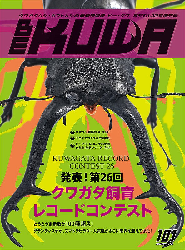 BE-KUWA No.101 – クワガタムシ・カブトムシ昆虫専門店COLORS