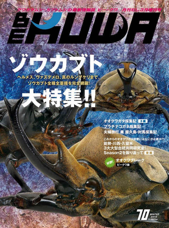 ビークワ 雑誌（説明文必須⚠️）