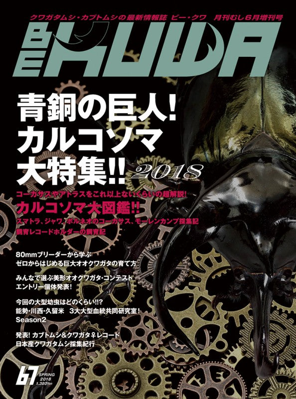 BE-KUWA No.67 – クワガタムシ・カブトムシ昆虫専門店COLORS