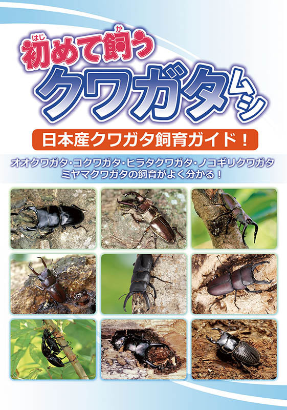 くわがたマガジン　No-1～26　クワガタ飼育 くわがたマガジン No-1～26 クワガタ飼育 【公式通販】