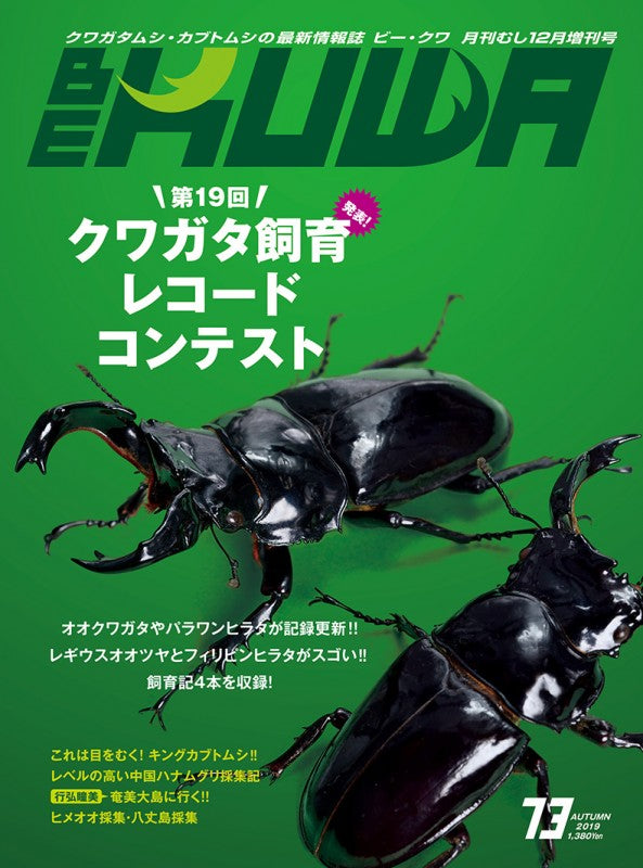 BE-KUWA No.73 – クワガタムシ・カブトムシ昆虫専門店COLORS