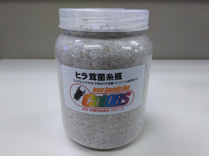 ヒラタケ菌糸 800cc – クワガタムシ・カブトムシ昆虫専門店COLORS