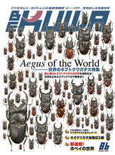 画像をギャラリービューアに読み込む, BE-KUWA No.86