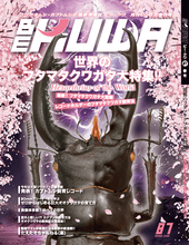 画像をギャラリービューアに読み込む, BE-KUWA No.87