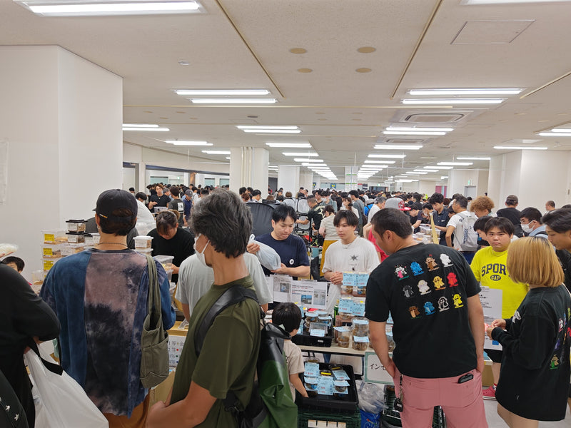 INSECT DISCOVERY 2025-9月イベントレポート!!