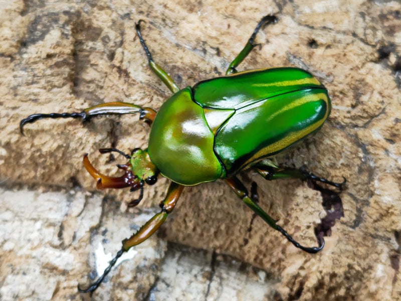 2023.6.11.新入荷!!