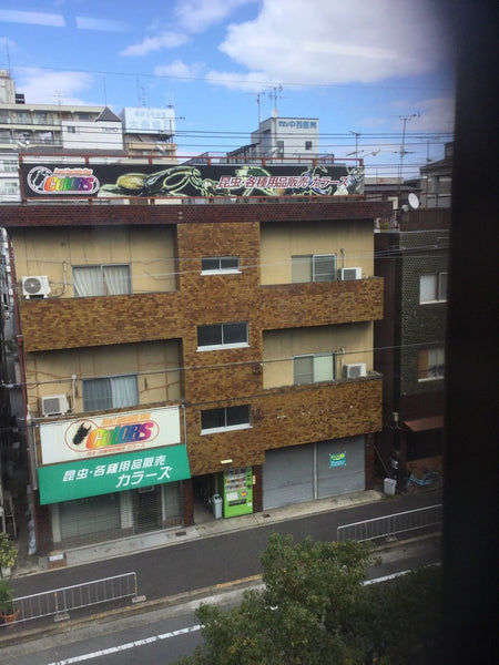 いよいよ明日から改装工事!!
