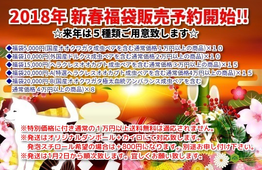 2018年新春福袋販売予約開始!!