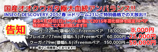 イベント出品!!