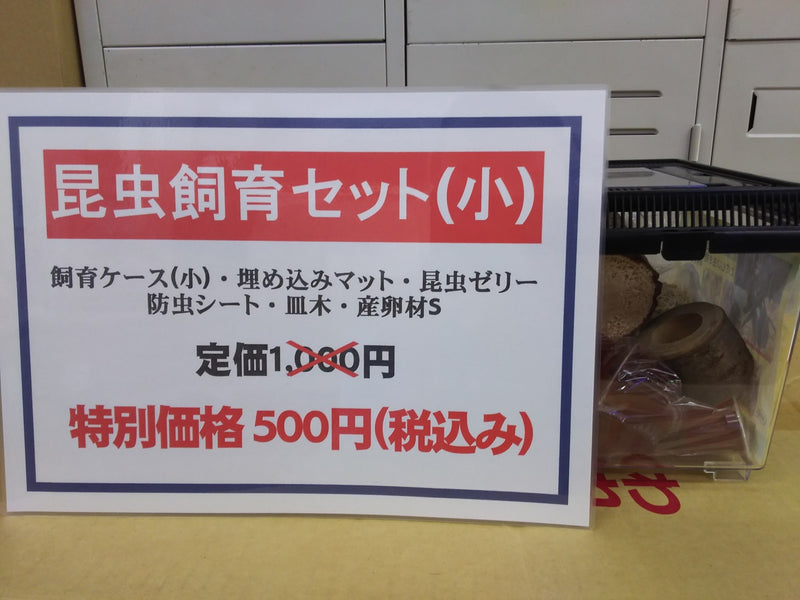 いよいよ明日!!