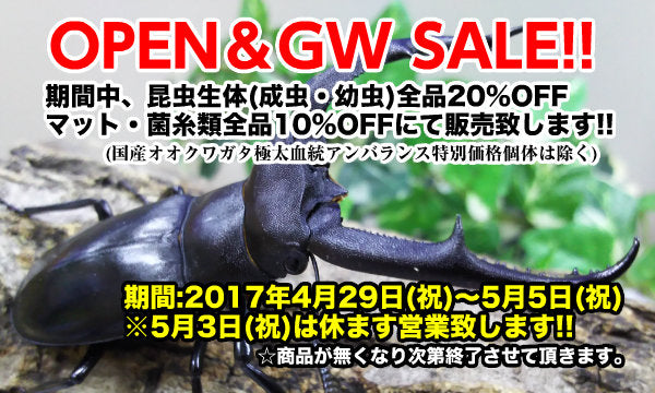 明日4/29はカラーズの日!!