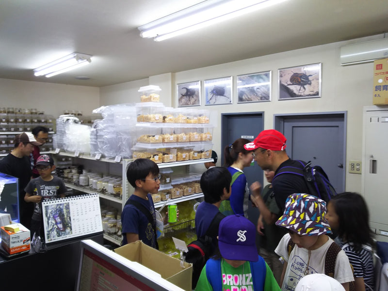 ふれあい祭りにて!!