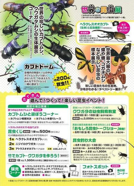 あべのハルカス近鉄本店　世界の昆虫展!!