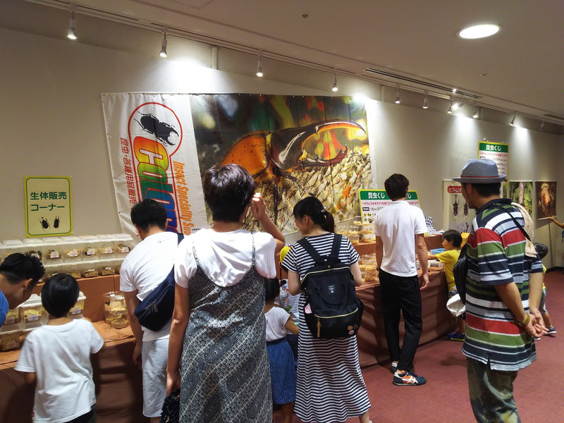 あべのハルカスへ!!