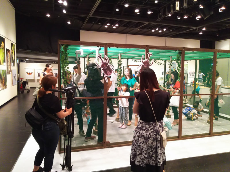 あべのハルカス近鉄本店　世界の昆虫展開催!!