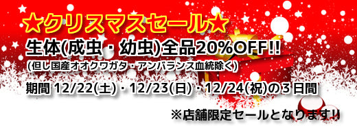 ★クリスマスセール★