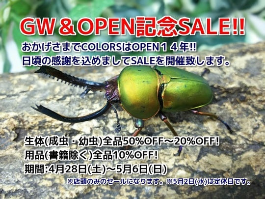 GW＆OPEN記念SALE!!