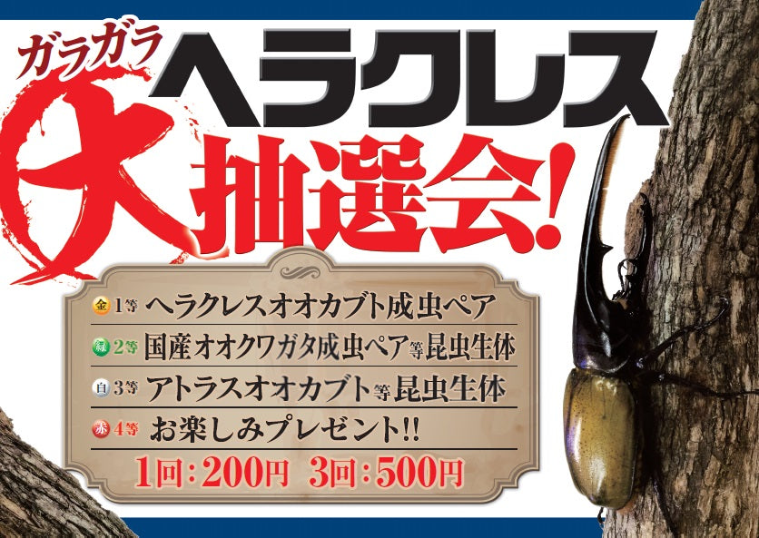 ラストサマーセール!!