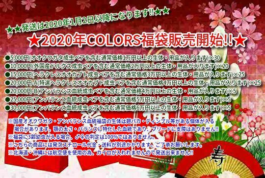 2020年COLORS福袋販売開始!!