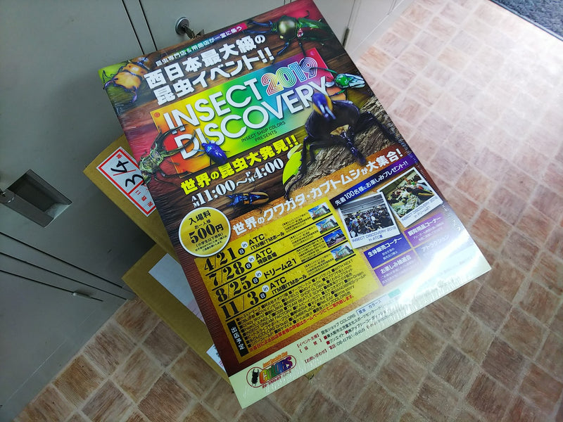 INSECT DISCOVERY 2019 チラシ・ポスター到着!!