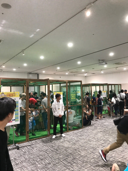 イオンモール長久手・第２回世界の昆虫展初日!!