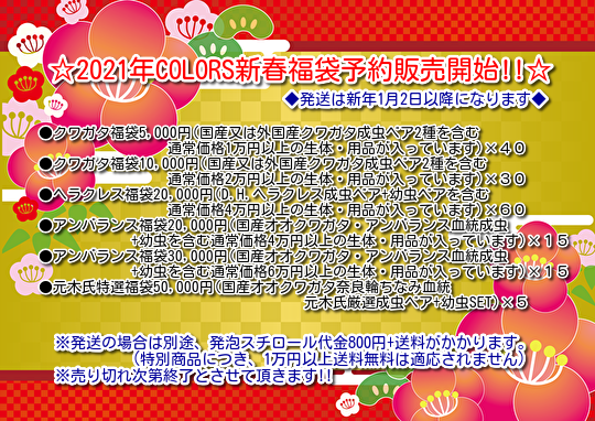 2021年COLORS新春福袋販売開始!!